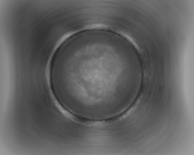 X0000113301038200909141243