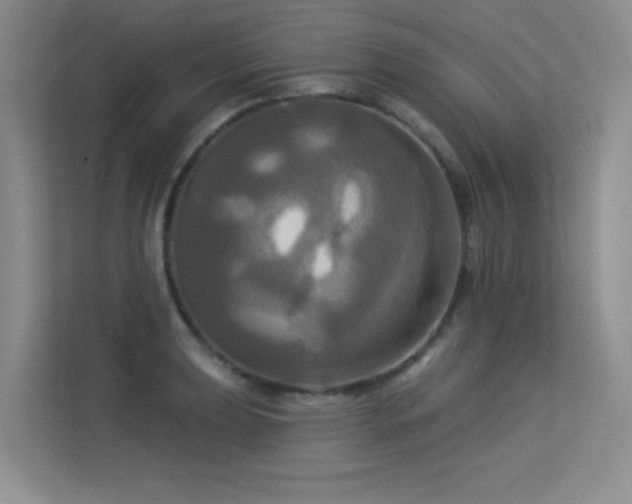 X0000113301039200909141243