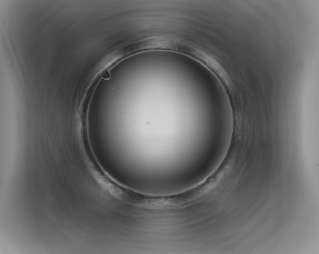 X0000113301042200909141243