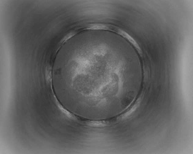 X0000113301049200909141243