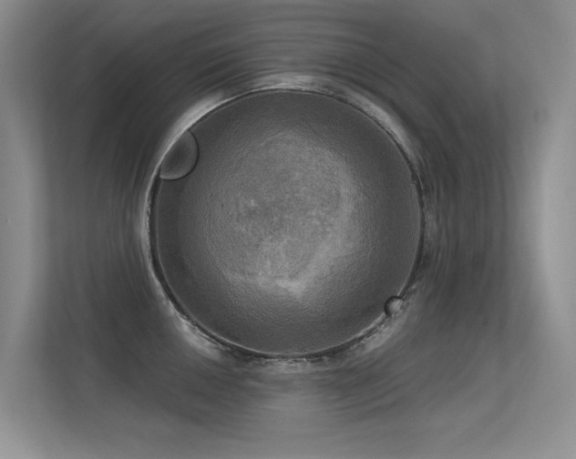 X0000113301050200909141243