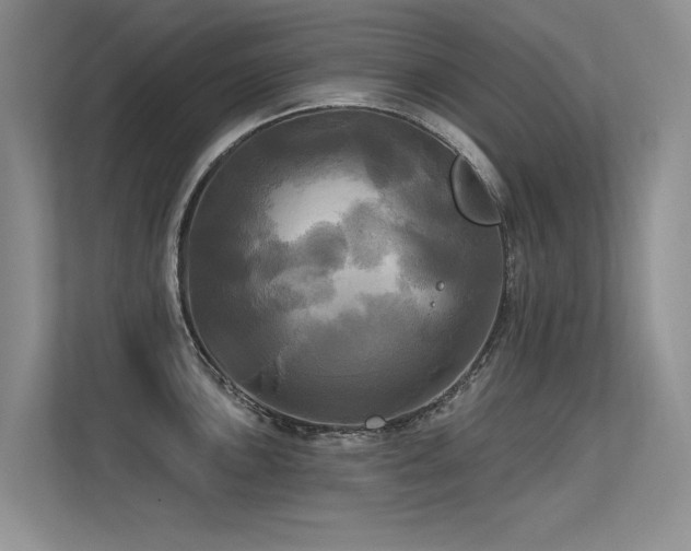 X0000113301051200909141243