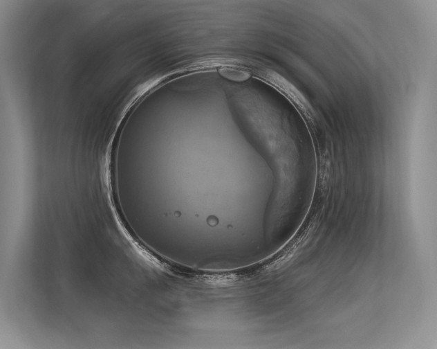 X0000113301055200909141243