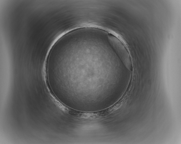 X0000113301056200909141243