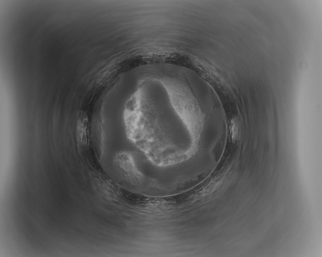 X0000113301059200909141242