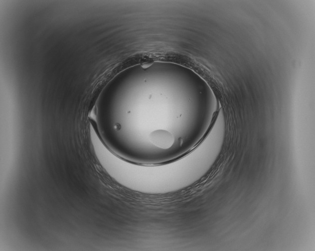 X0000113301060200909141242