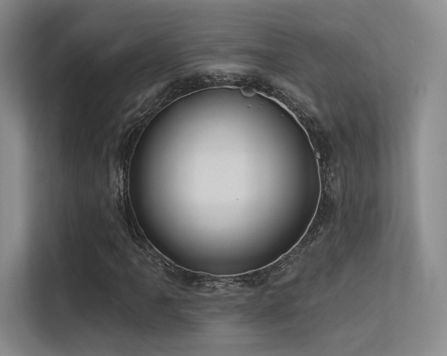 X0000113301061200909141242