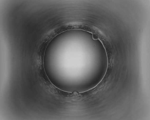 X0000113301062200909141242