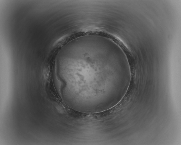 X0000113301063200909141242