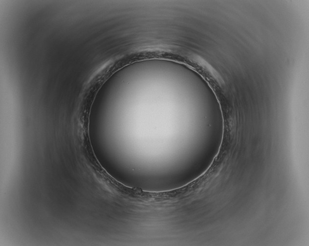 X0000113301064200909141242