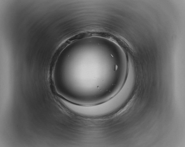 X0000113301065200909141242