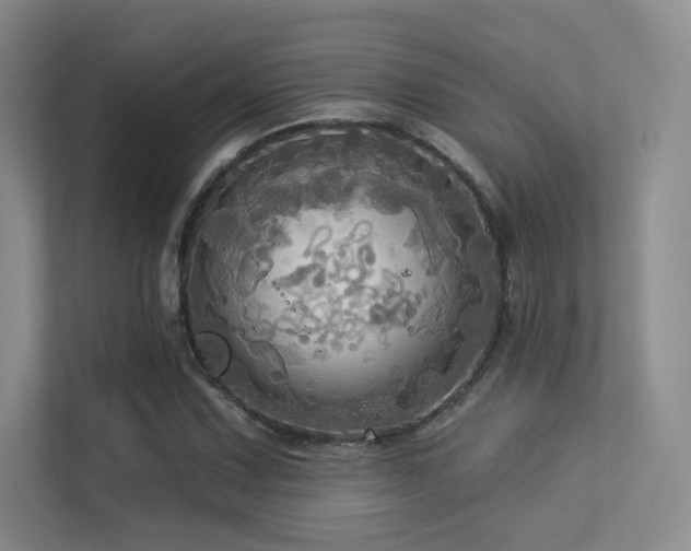 X0000113301067200909141242