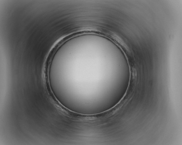 X0000113301068200909141242