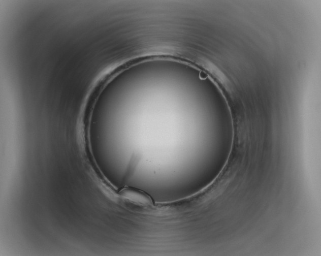 X0000113301072200909141242