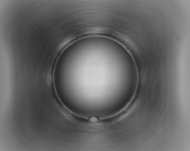 X0000113301073200909141242