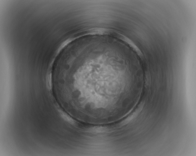 X0000113301075200909141242