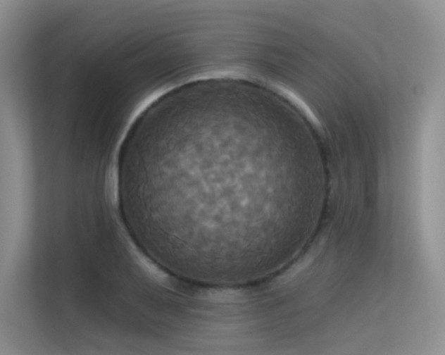 X0000113301079200909141242