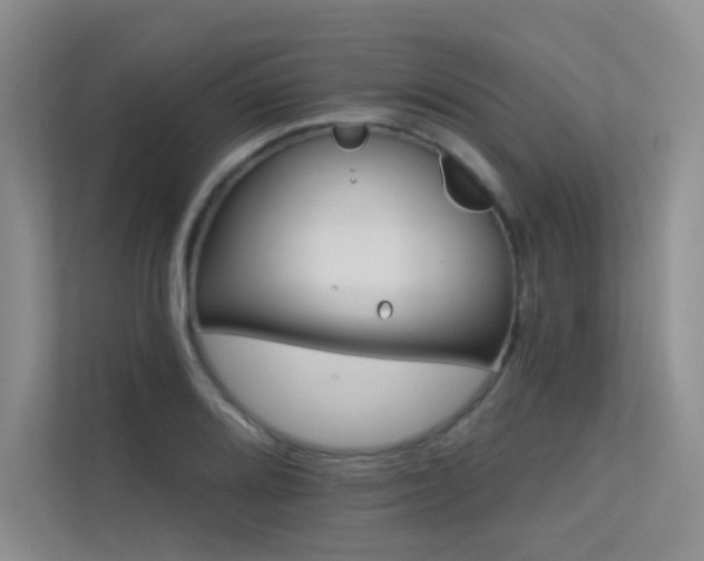 X0000113301080200909141242