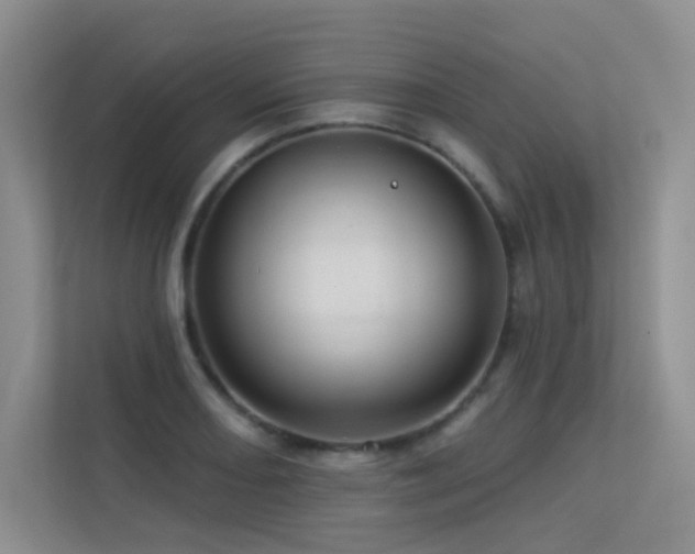 X0000113301082200909141242