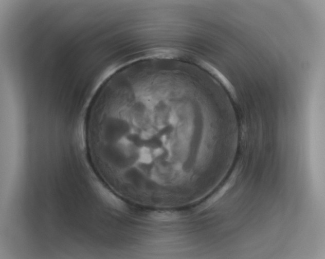 X0000113301083200909141242
