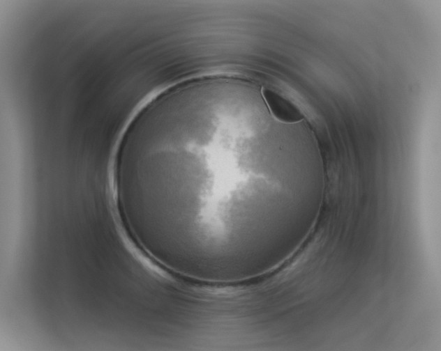 X0000113301084200909141242