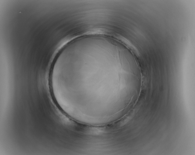 X0000113301086200909141242