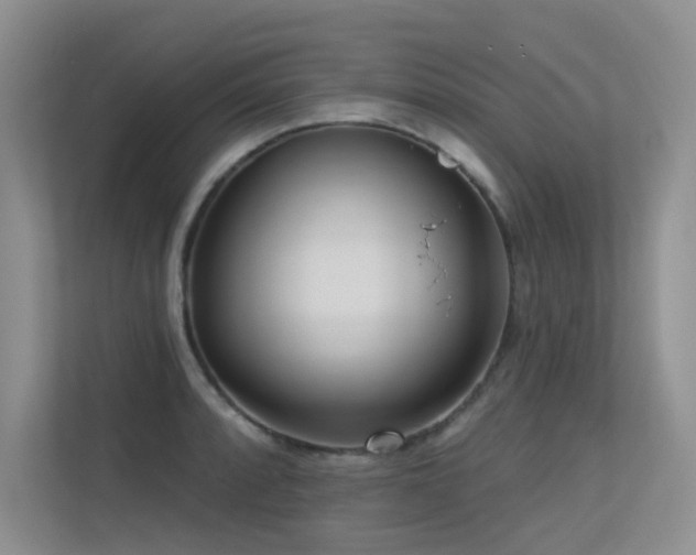 X0000113301088200909141242