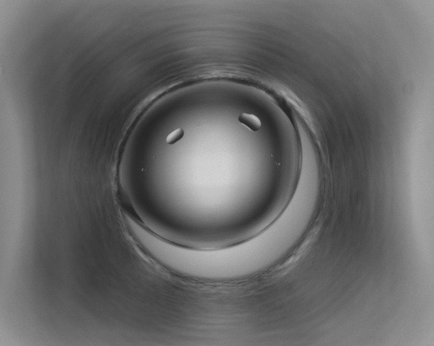 X0000113301089200909141242