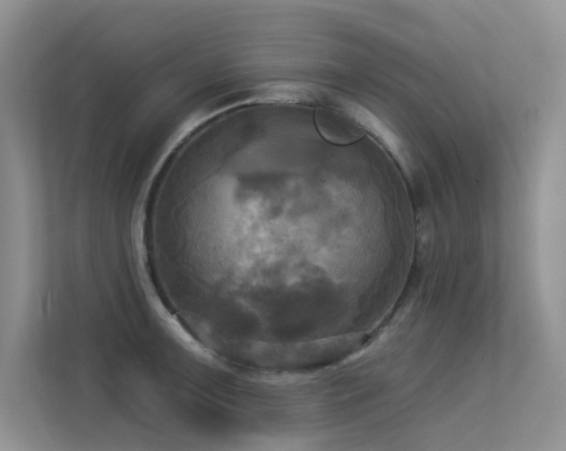 X0000113301091200909141242