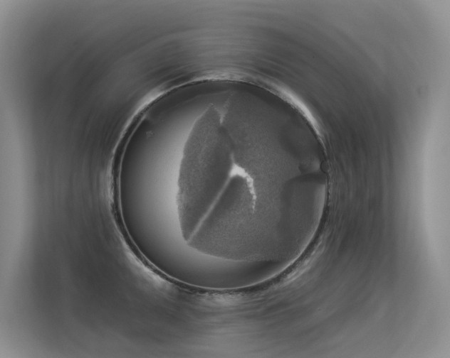 X0000113301095200909141242