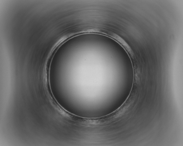 X0000113301096200909141242