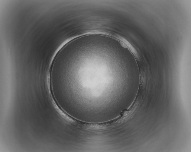 X0000113301100200909141242