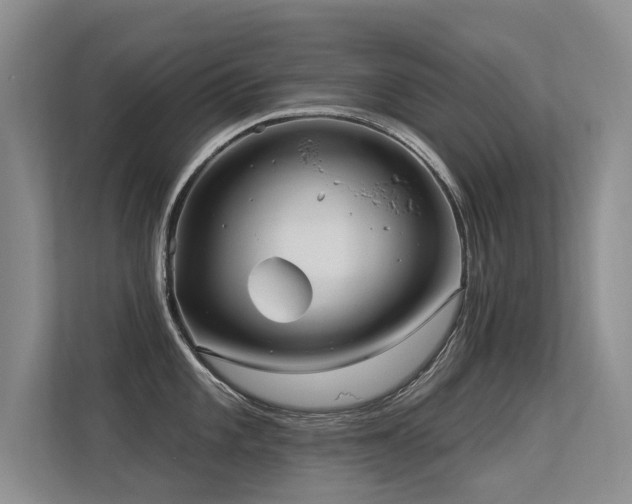 X0000113301101200909141242