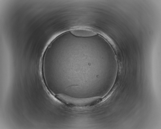 X0000113301102200909141242