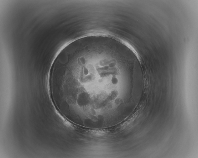 X0000113301103200909141242