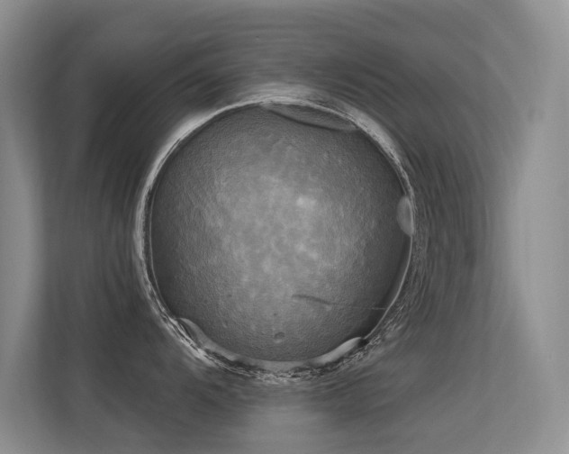 X0000113301104200909141242