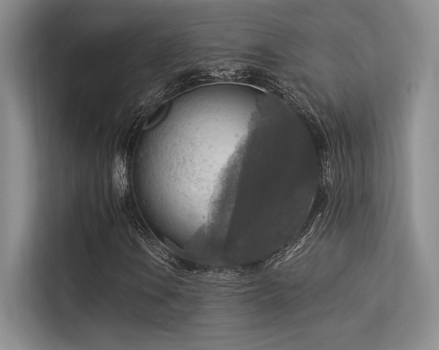 X0000113301106200909141241