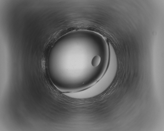 X0000113301108200909141241