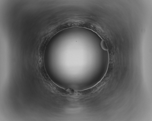 X0000113301109200909141241