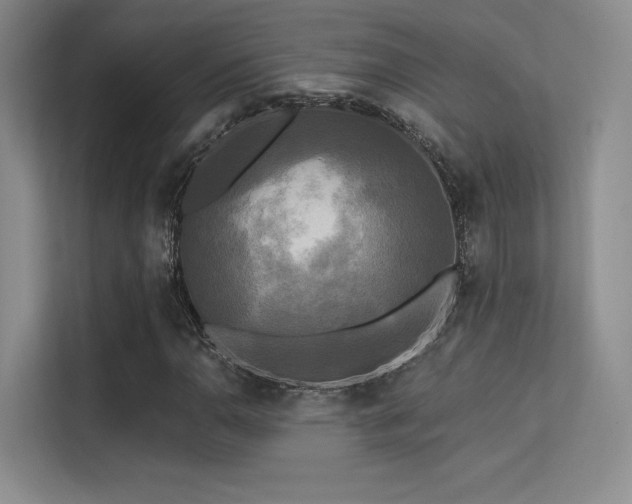 X0000113301110200909141241