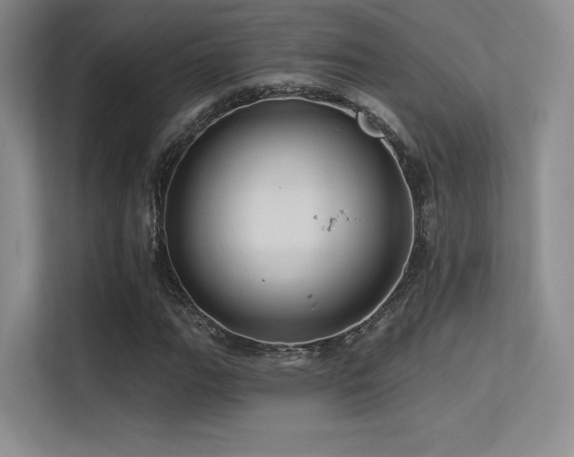 X0000113301111200909141241