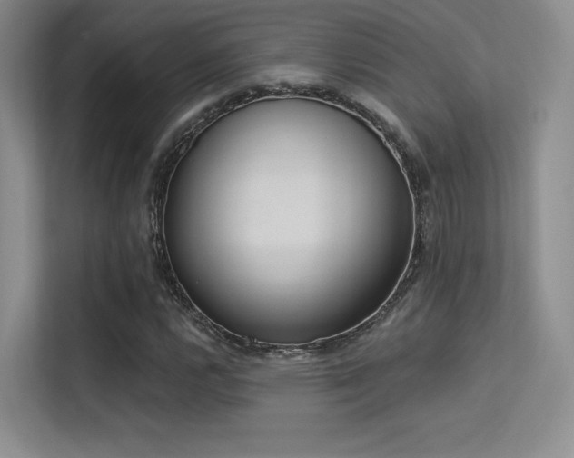 X0000113301112200909141241