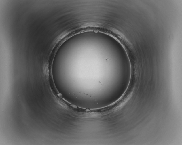 X0000113301113200909141241