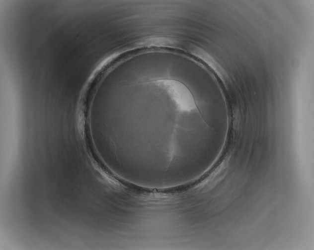 X0000113301115200909141241