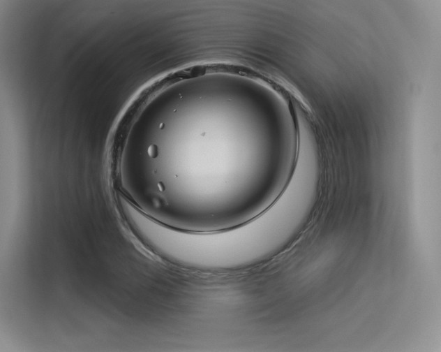 X0000113301116200909141241