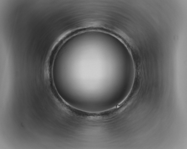 X0000113301118200909141241