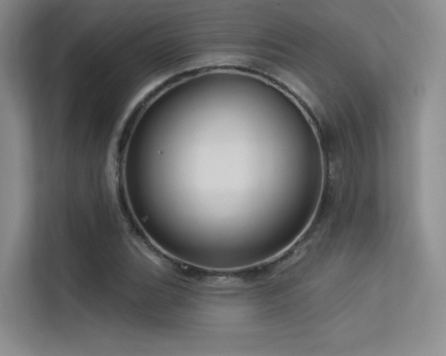 X0000113301119200909141241