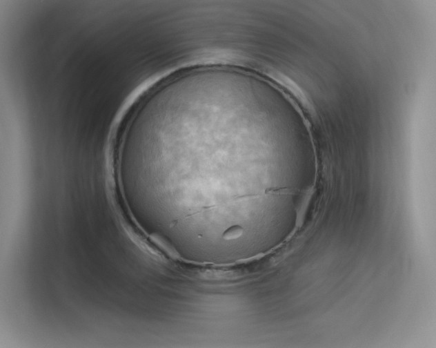 X0000113301120200909141241