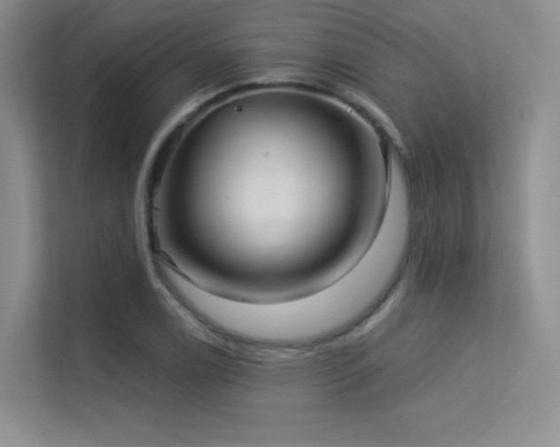 X0000113301122200909141241