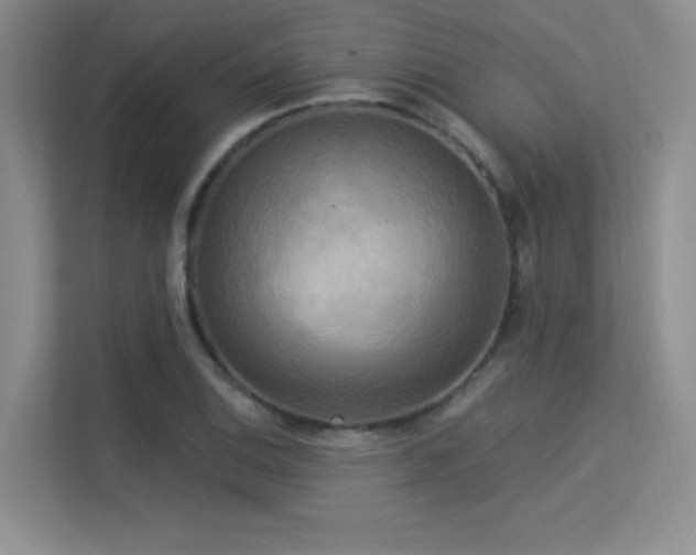 X0000113301124200909141241